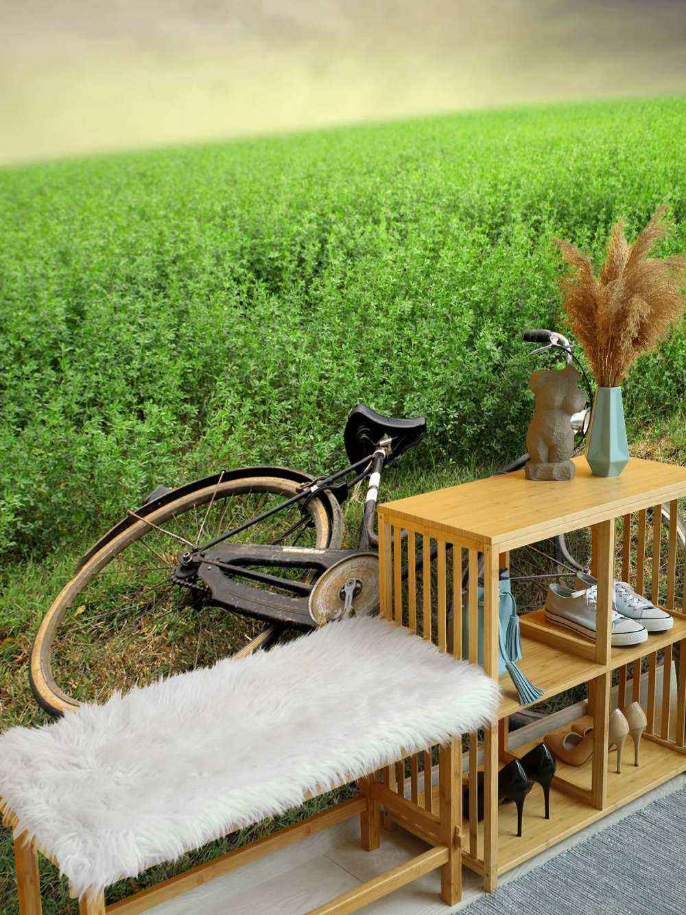 Vieux vélo