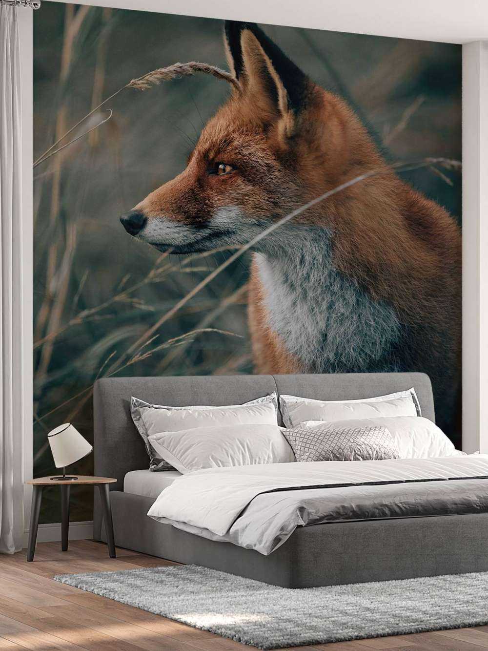 Renard dans les dunes
