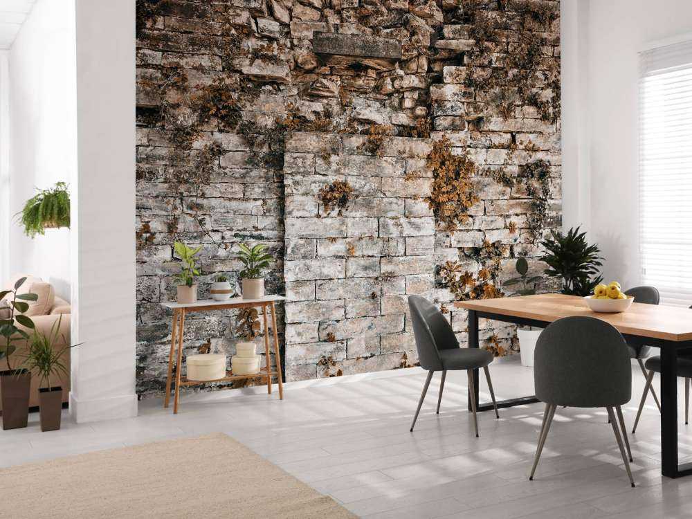 Mur végétal en automne