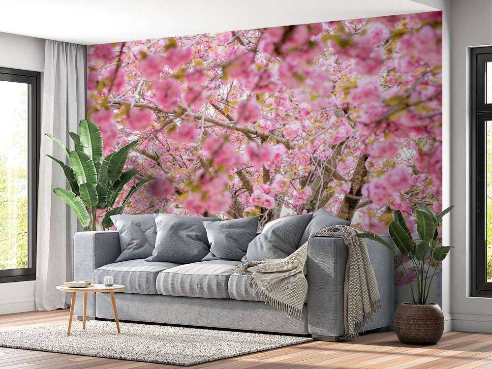 Arbre en fleurs