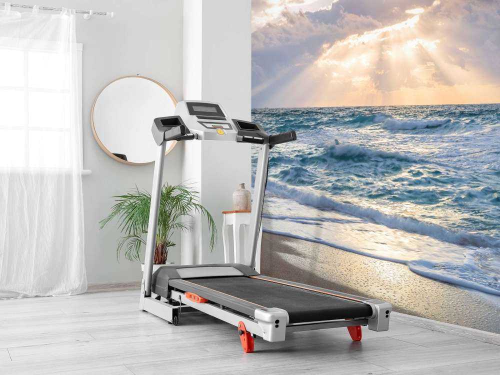 Rayons de soleil au bord de la mer