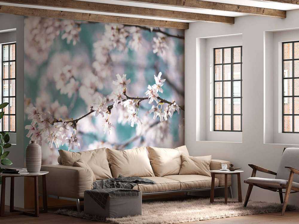 Bourgeons