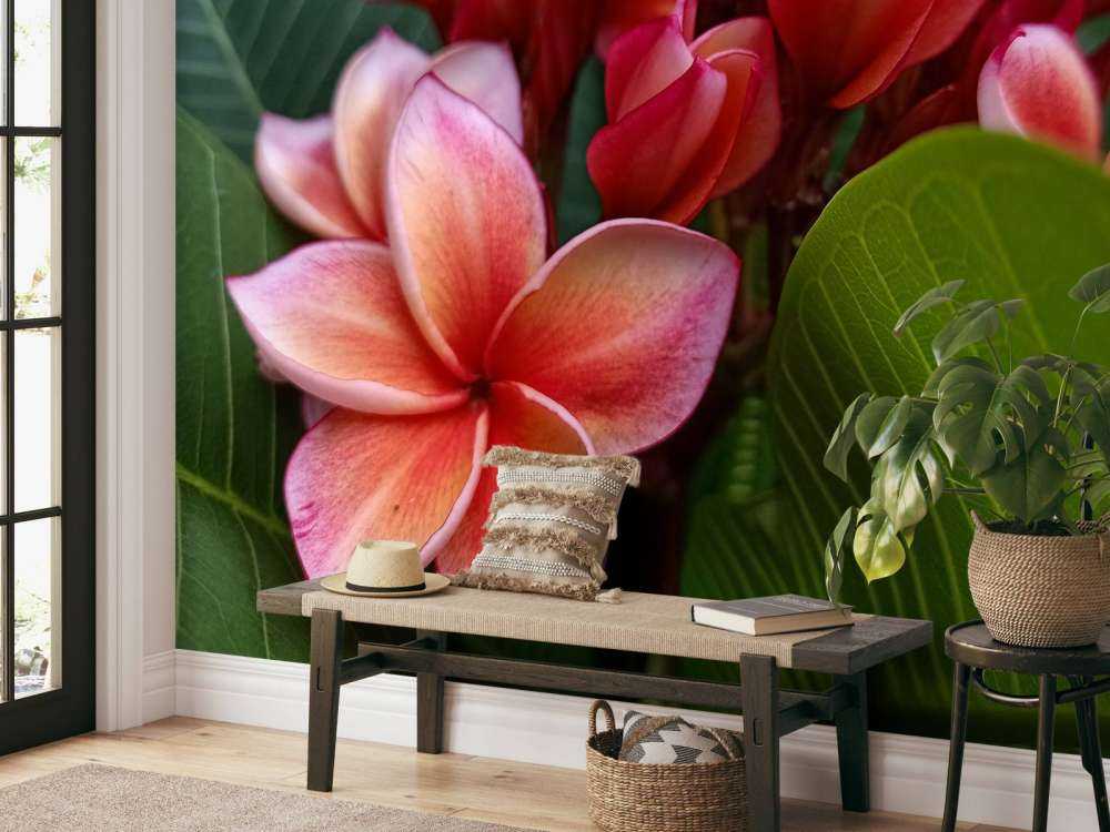 Fleurs tropicales
