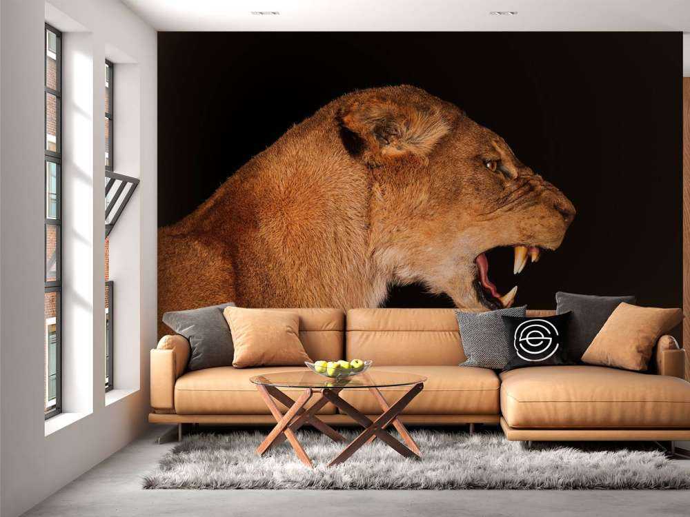 Lionne vue de côté
