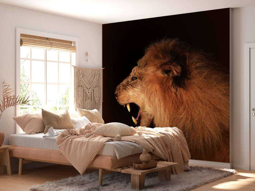 Lion rugissant