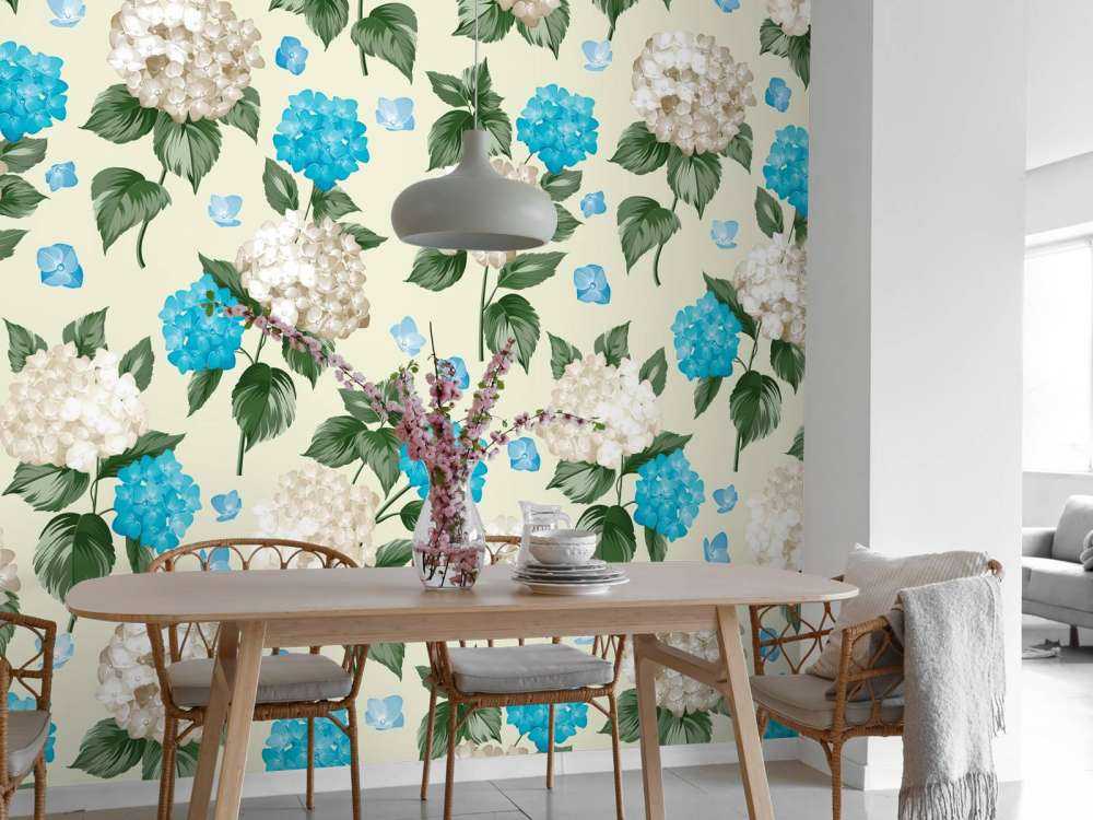 Brise Printanière Hydrangea