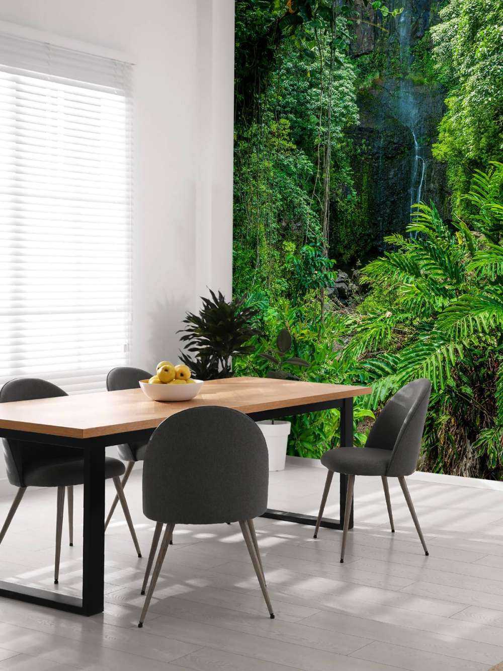 Jungle et pierres