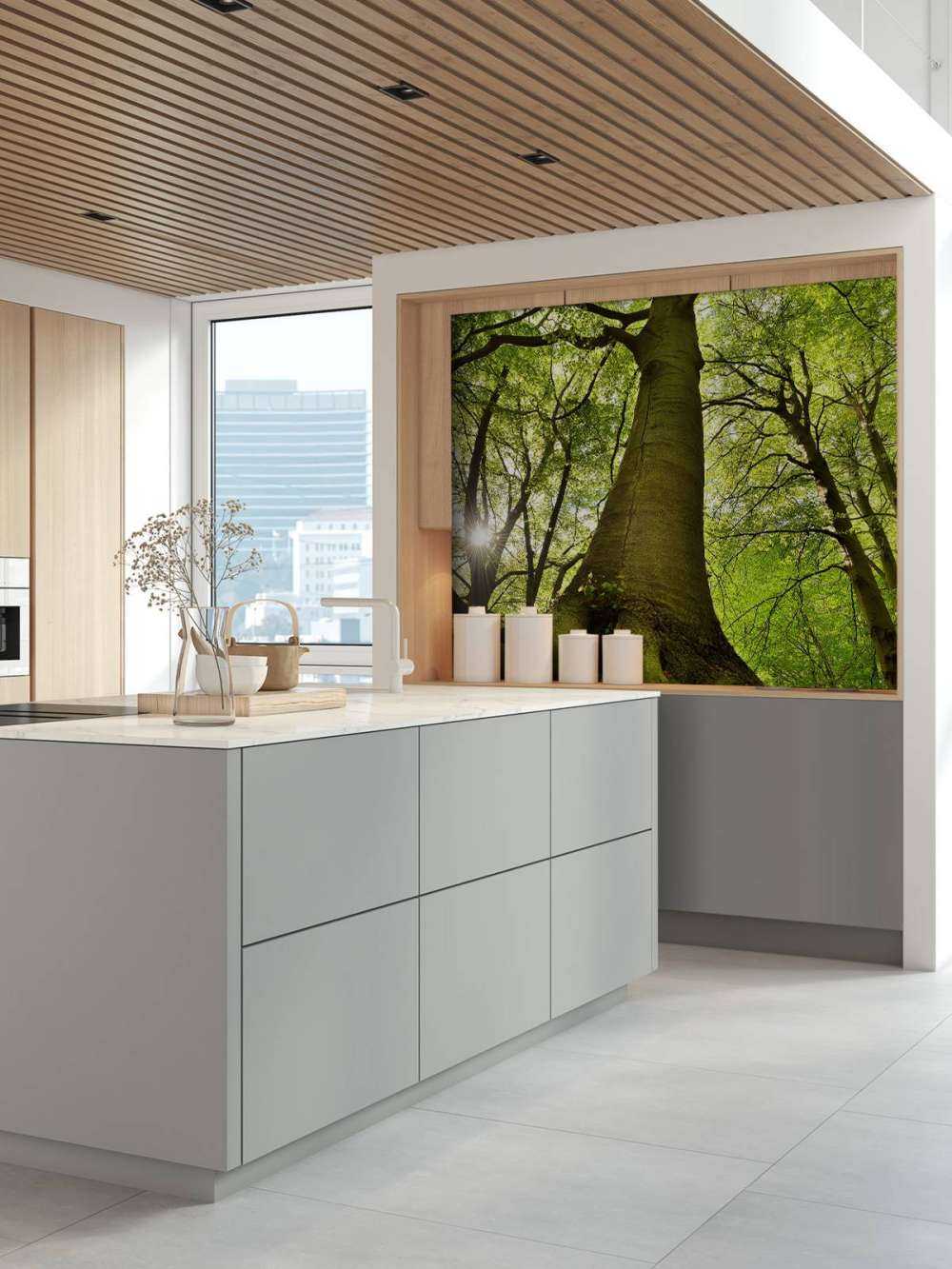 Grand arbre et racines