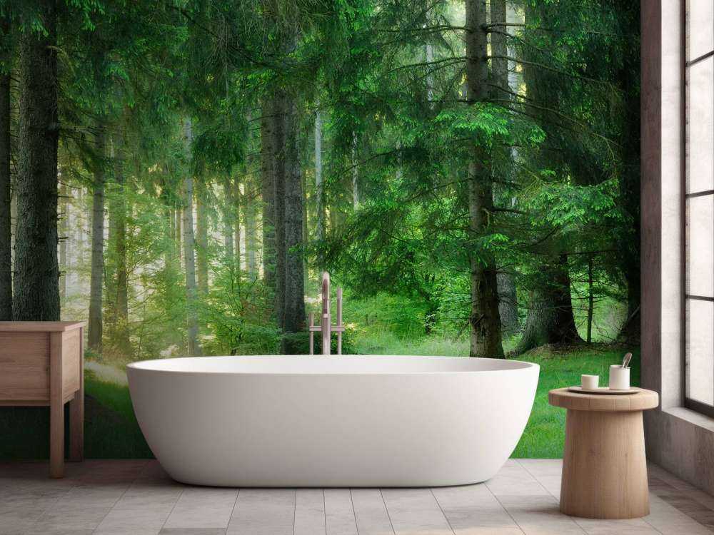 Forêt de conifères verts
