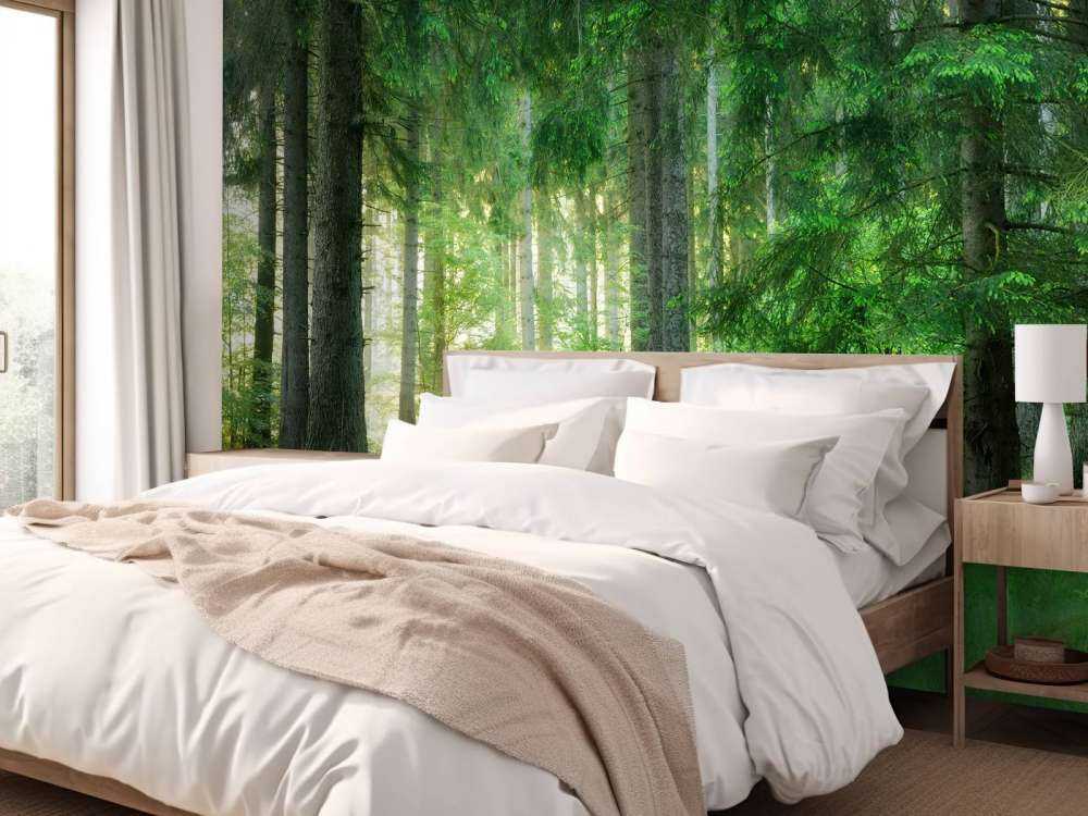 Forêt de conifères verts