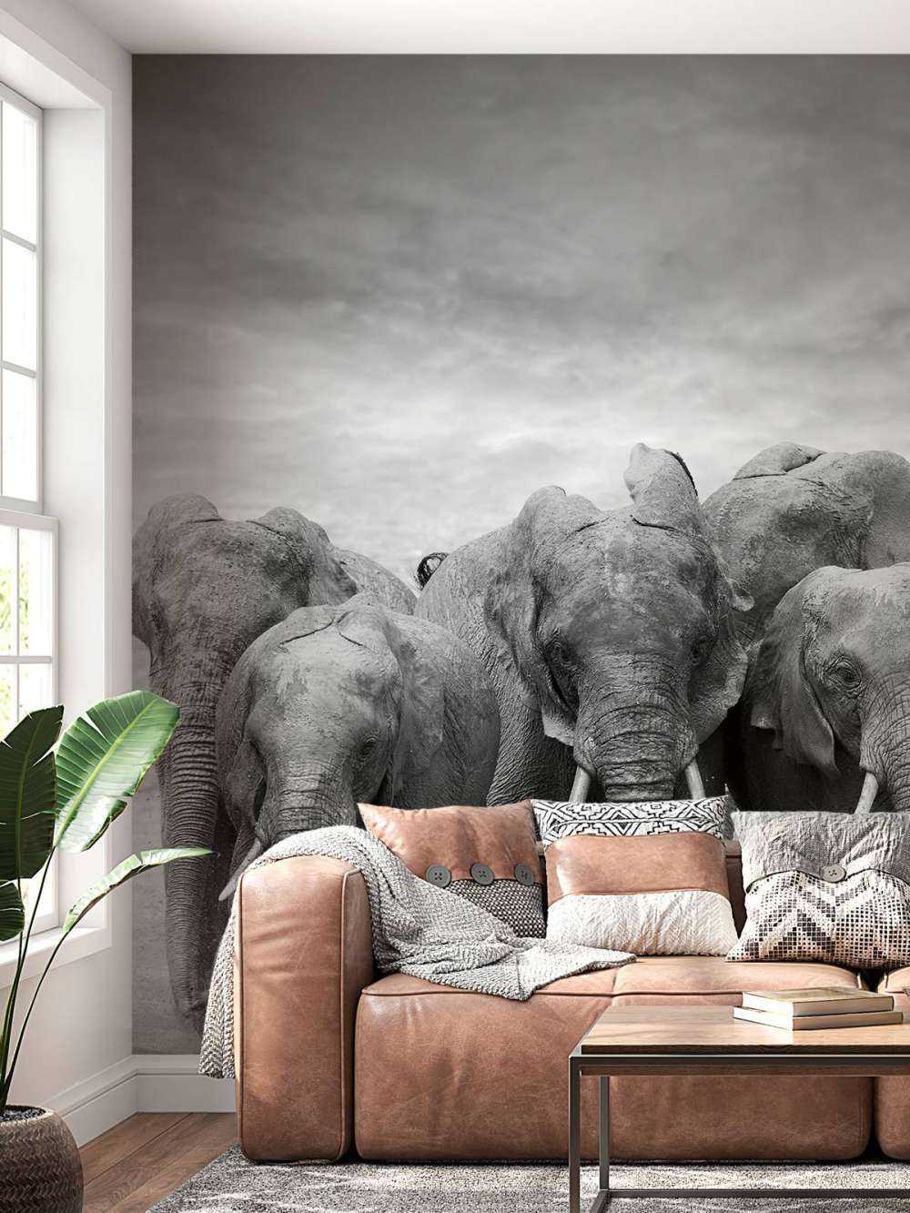 Troupeau d'éléphants