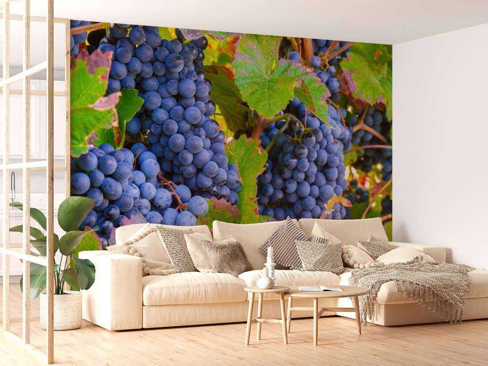 Raisins de cuve