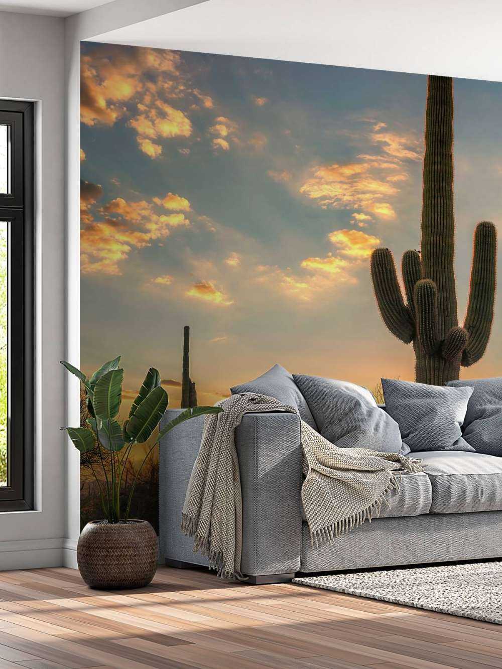 Cactus au coucher du soleil