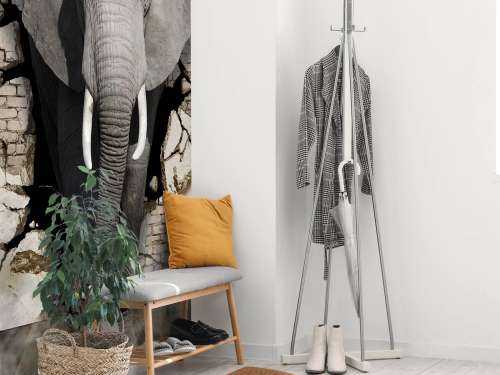L'éléphant en 3D depuis le mur