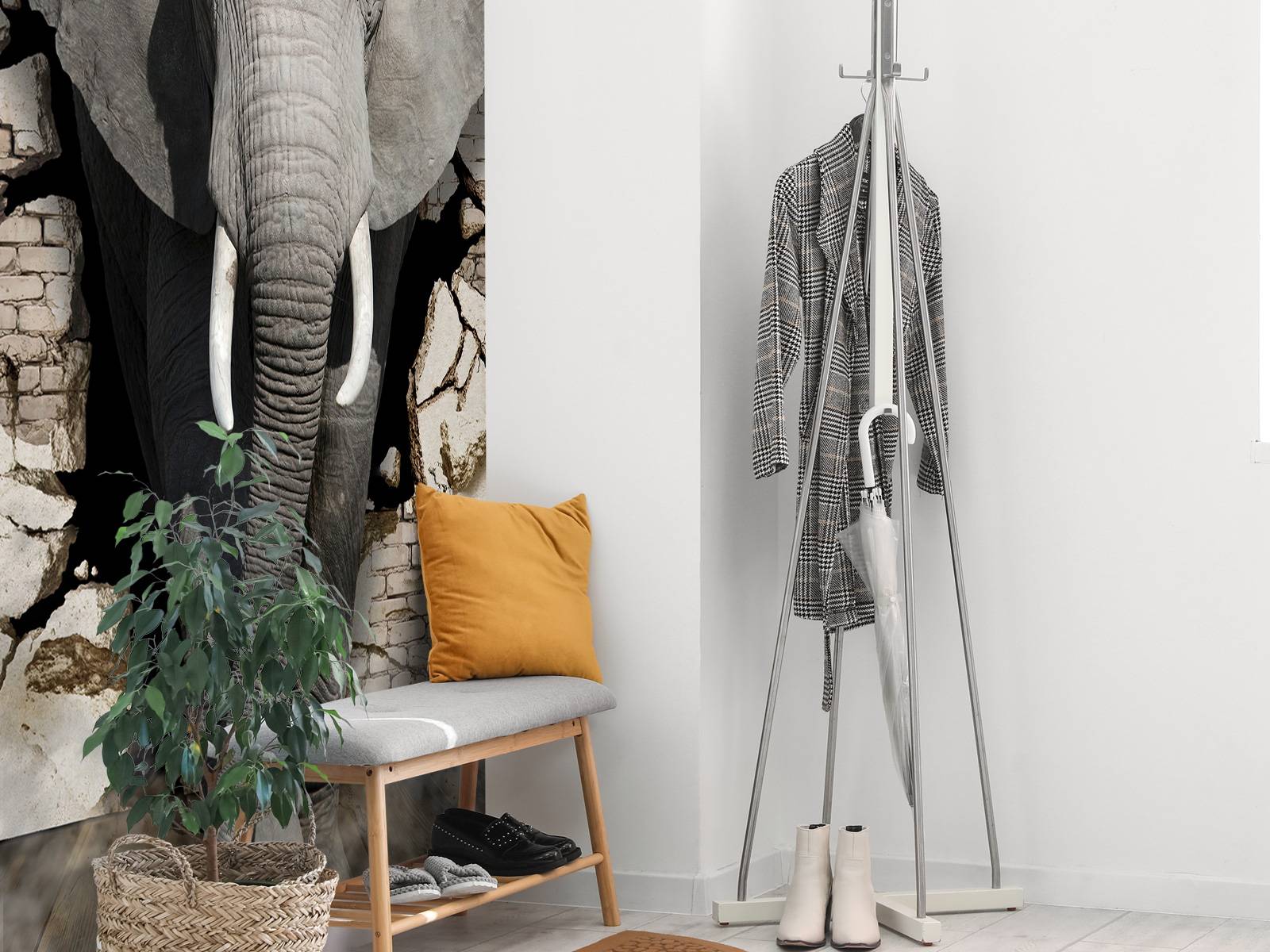 L'éléphant en 3D depuis le mur