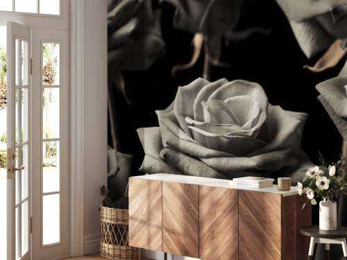 Roses sépia