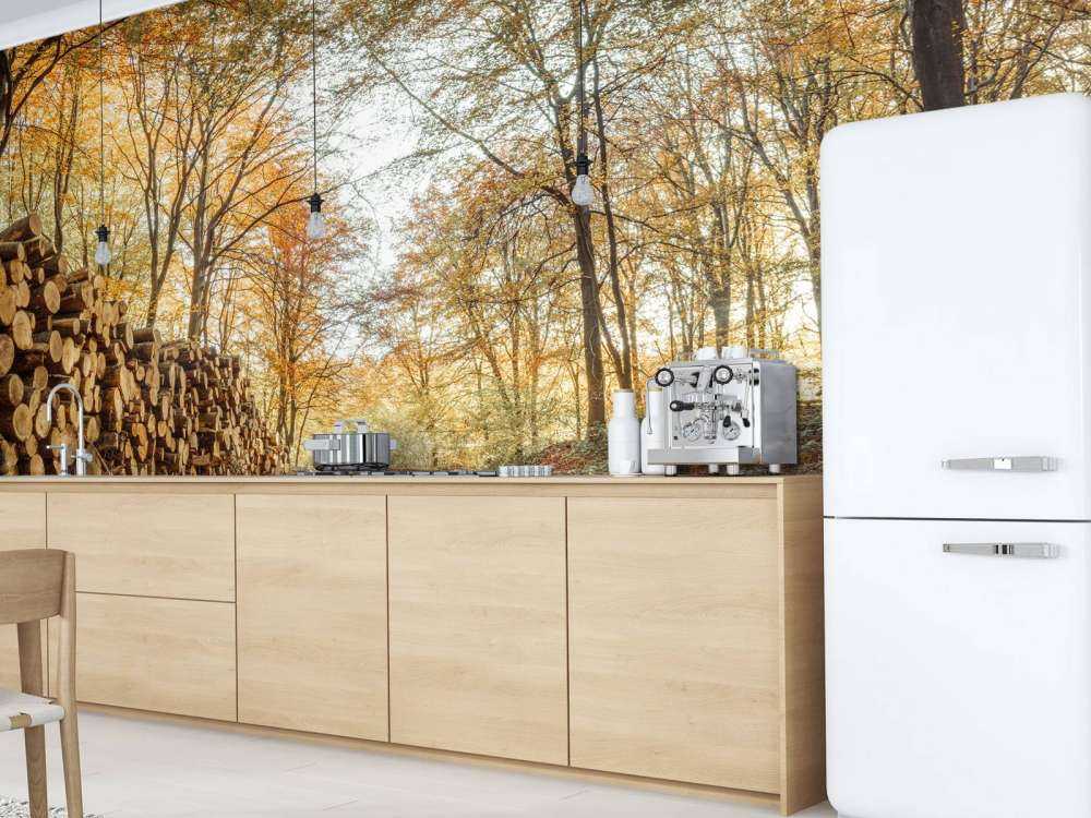 Troncs d'arbres dans la forêt d'automne
