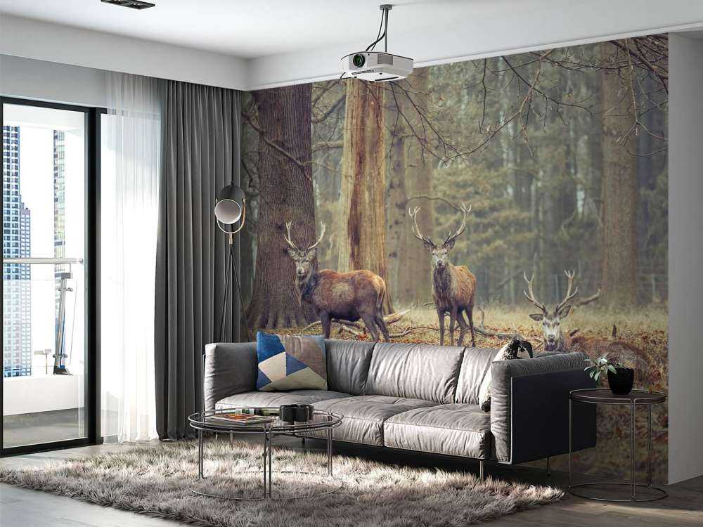 Cerfs sauvages