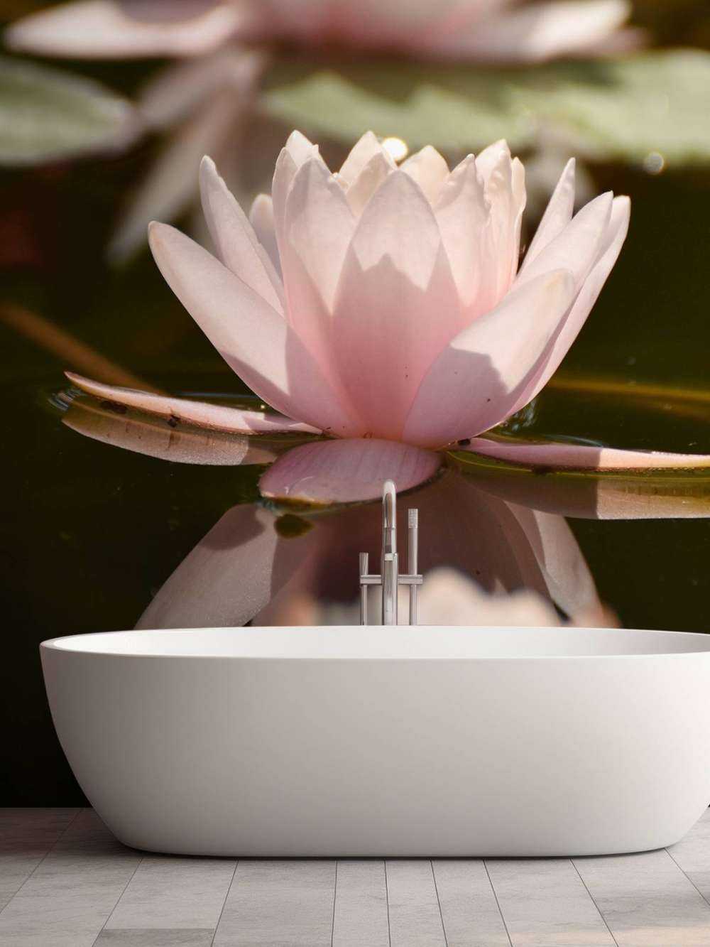Fleur de lotus dans l'eau