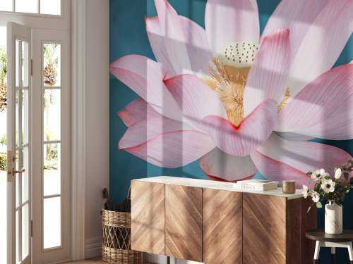 Gros plan sur la fleur de lotus