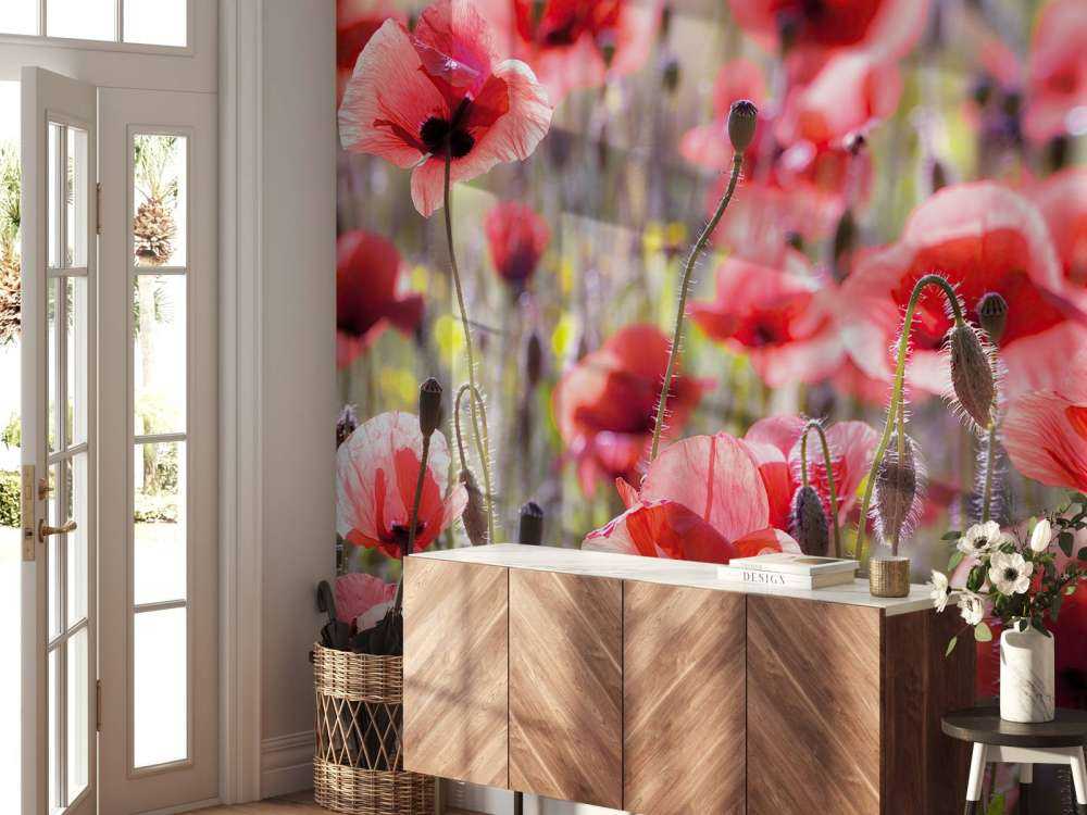 Des coquelicots au look vintage