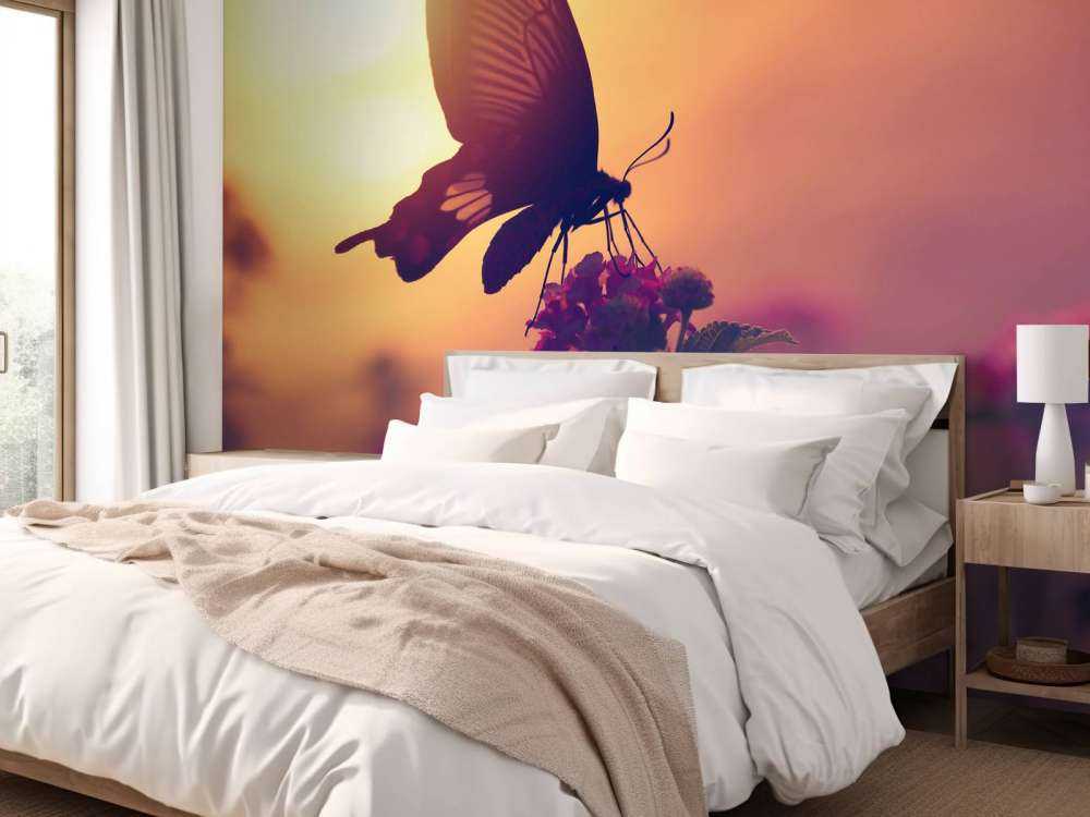 Papillon avec coucher de soleil