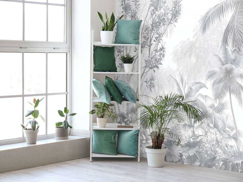 Palmiers de brume tropicaux