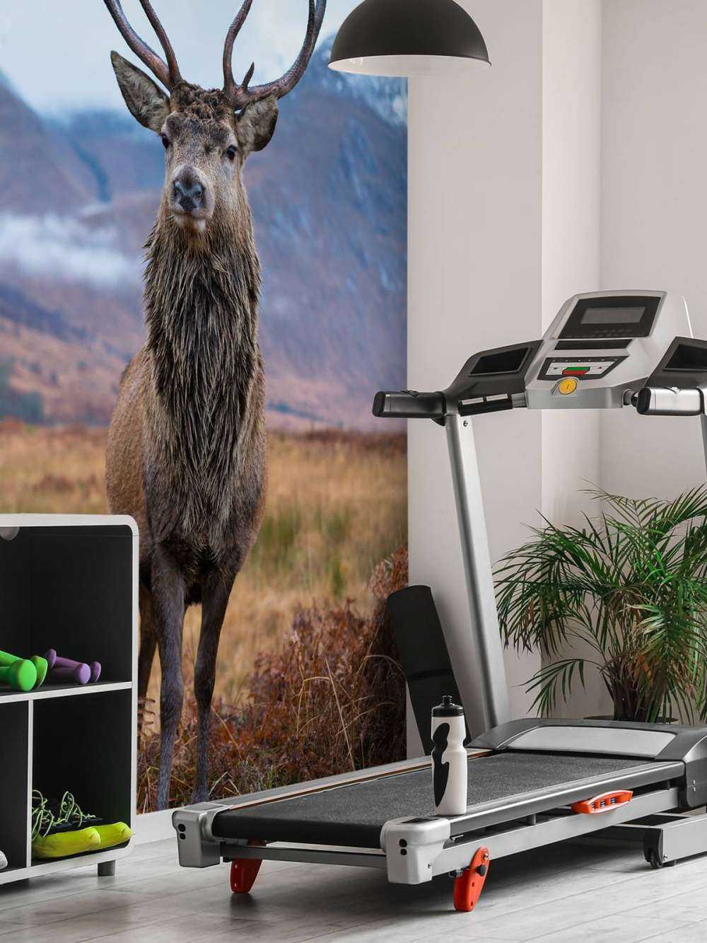 Cerf dans les montagnes