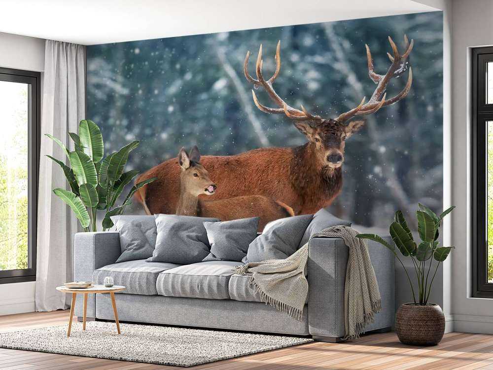 Cerf avec son faon