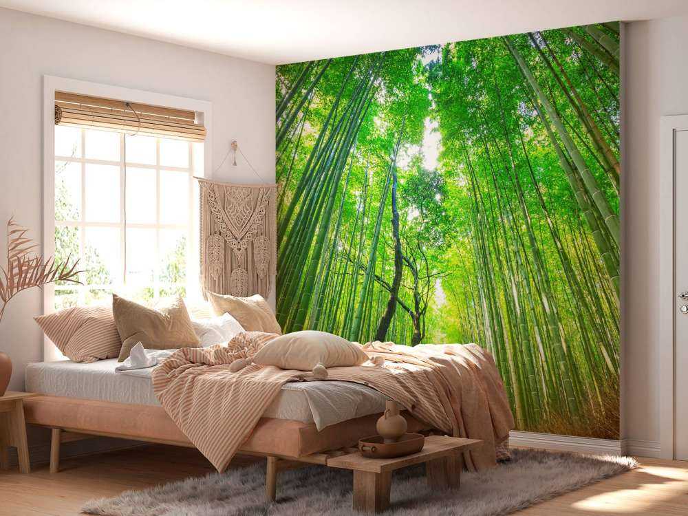 Forêt de bambous d'Arashiyama