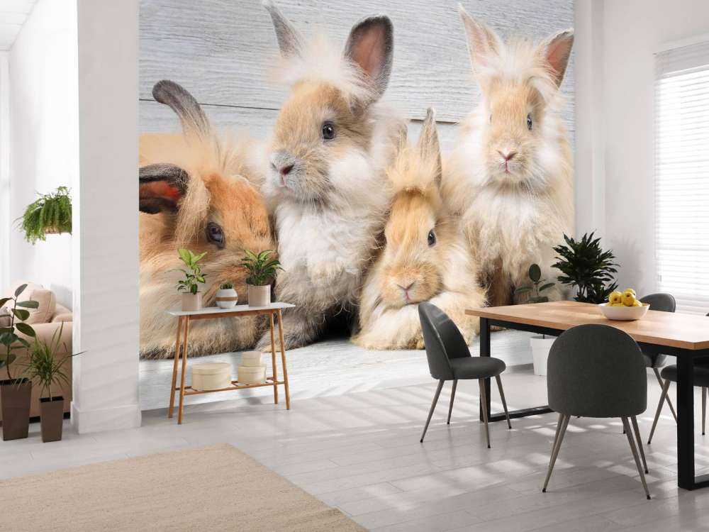 Petits lapins