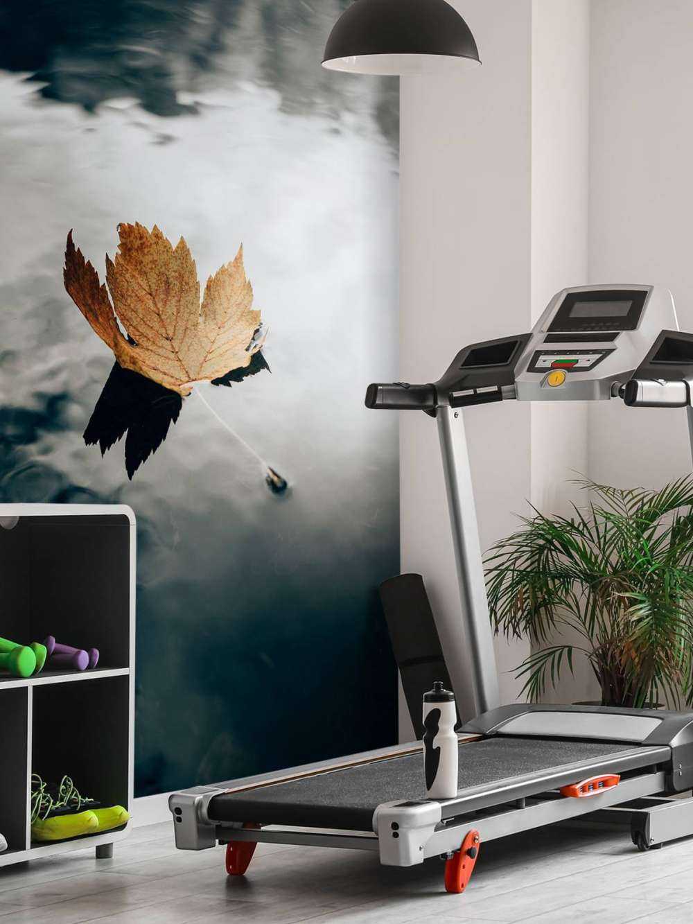 Feuille d'automne