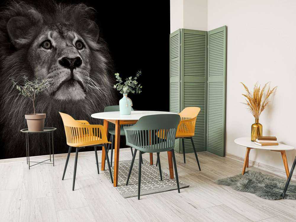 Lion sur fond noir