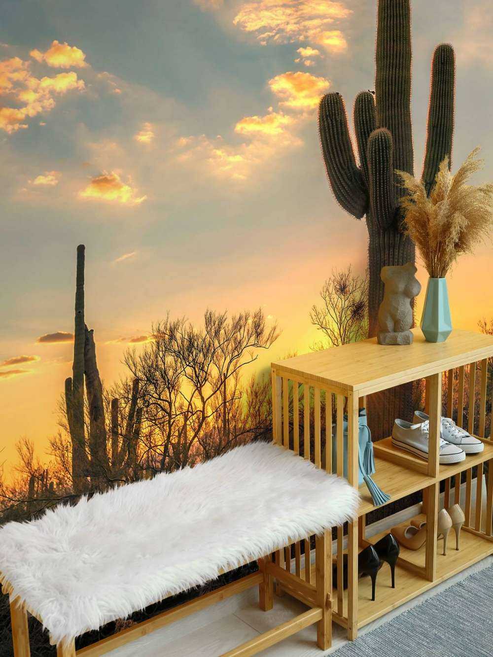 Cactus au coucher du soleil