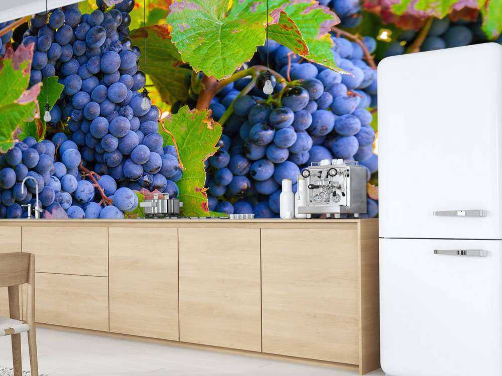 Raisins de cuve