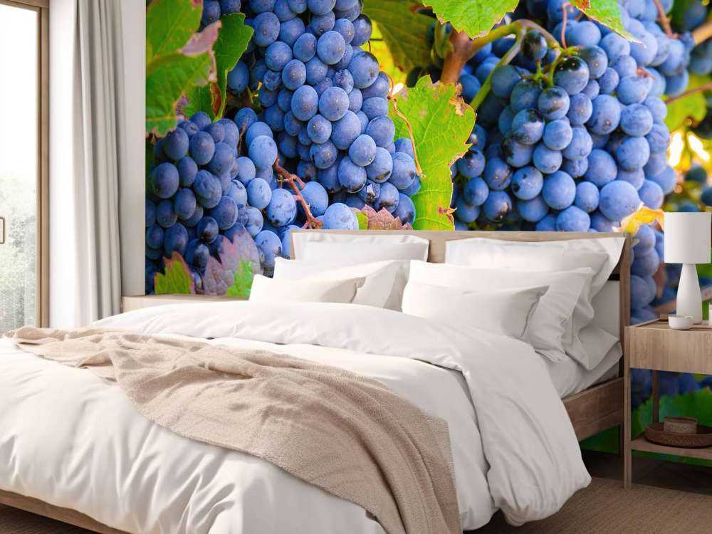 Raisins de cuve