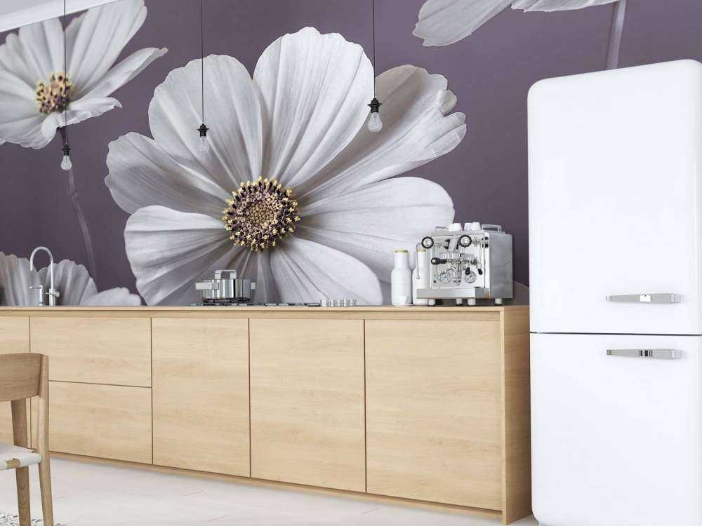 Fleurs de cosmos