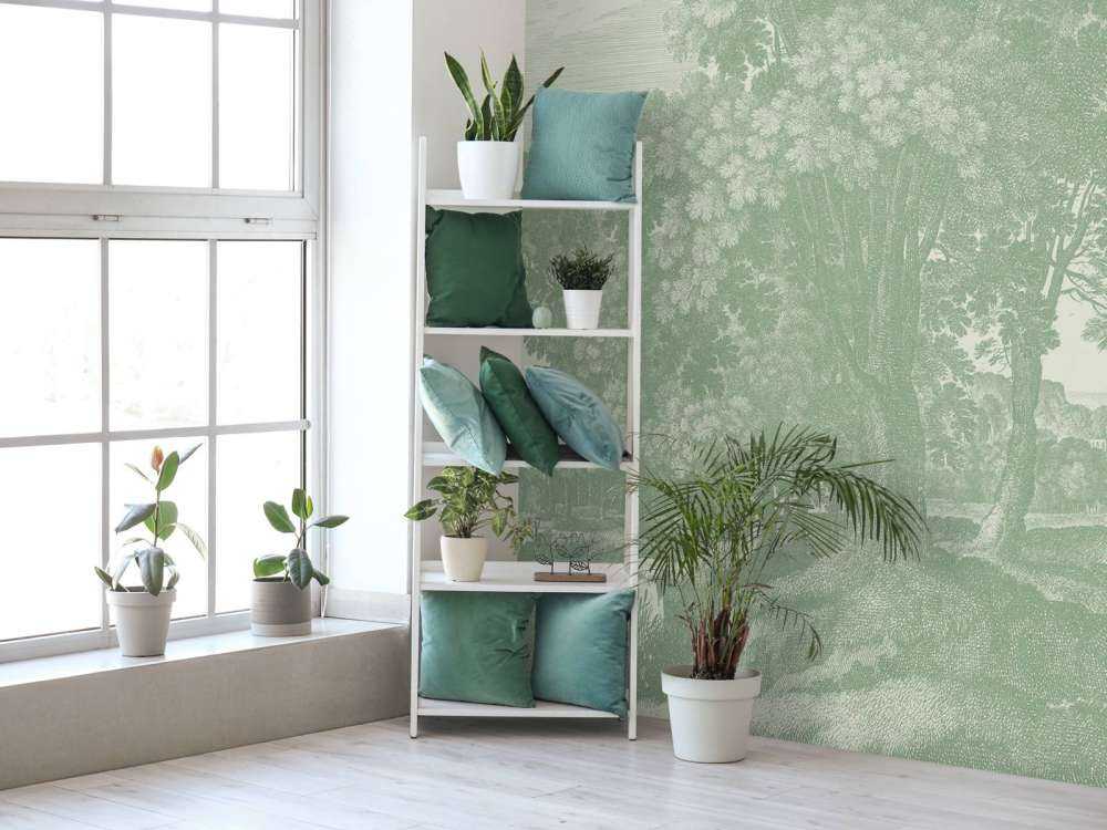 Rêve loin vert