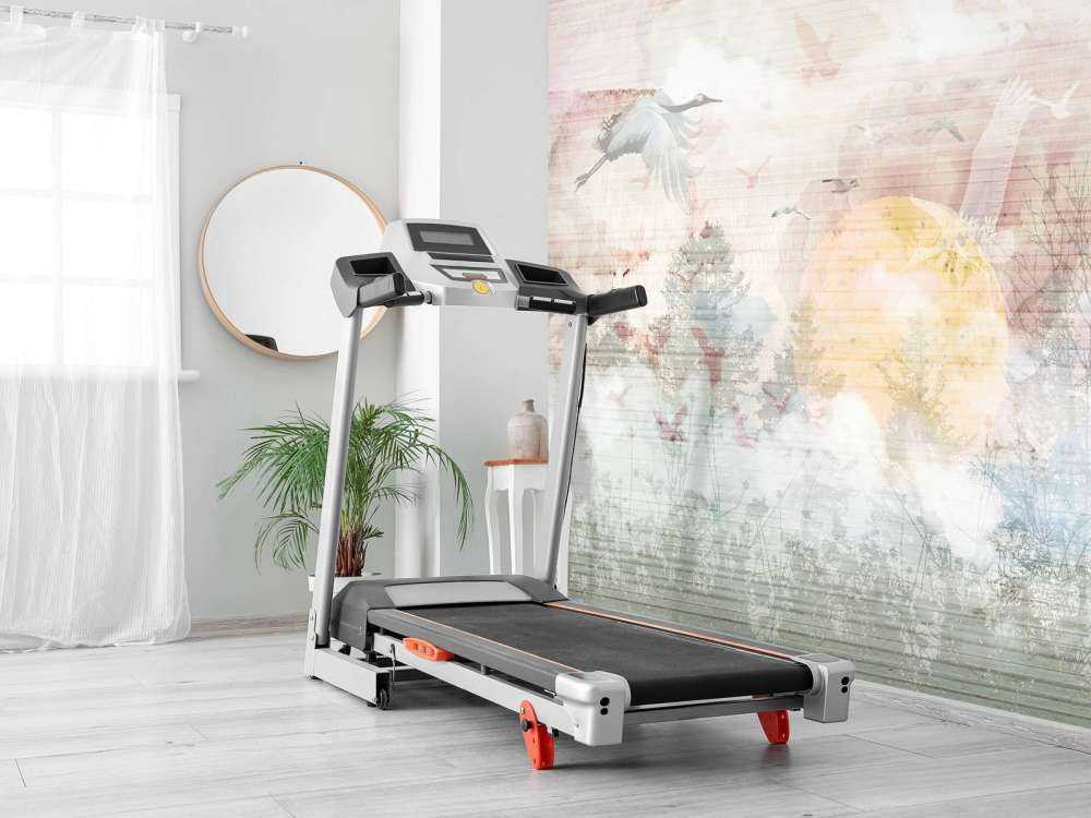 Lever de soleil dans la brume