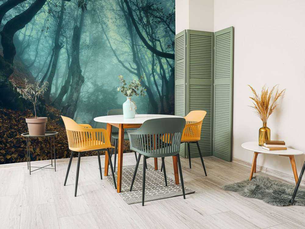 Forêt mystérieuse