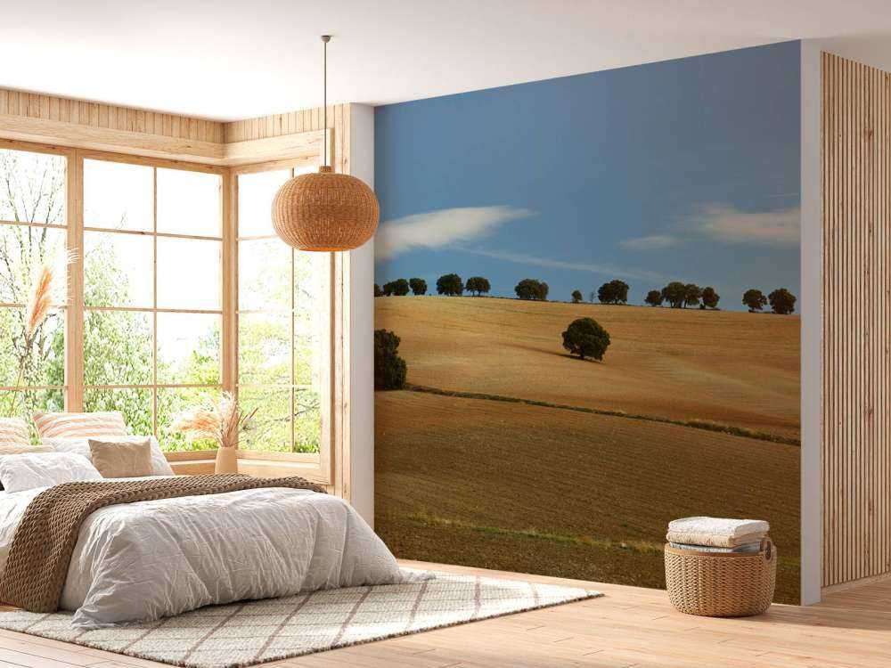 Les arbres dans le paysage espagnol