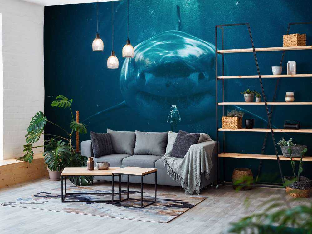 Un grand requin