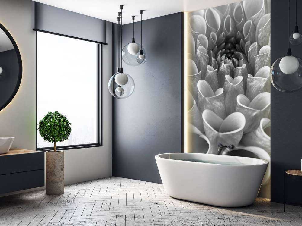 Dahlia en gros plan