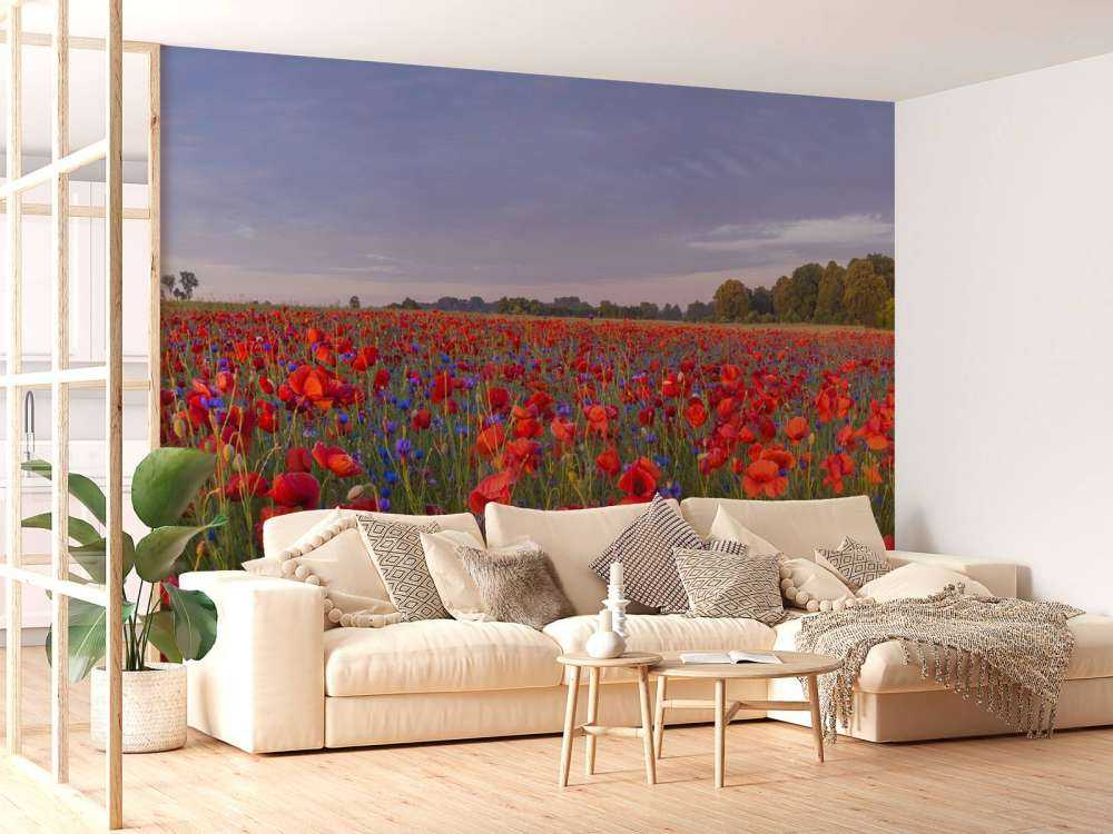 Fleurs bleues et coquelicots rouges