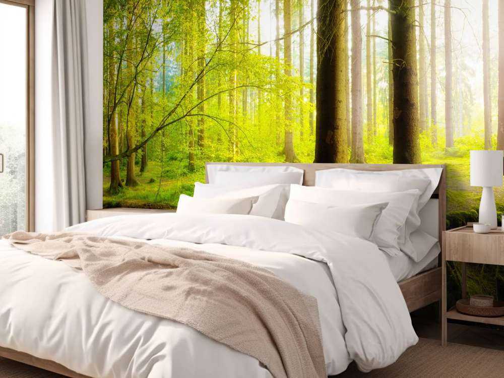 Forêt verte et fraîche