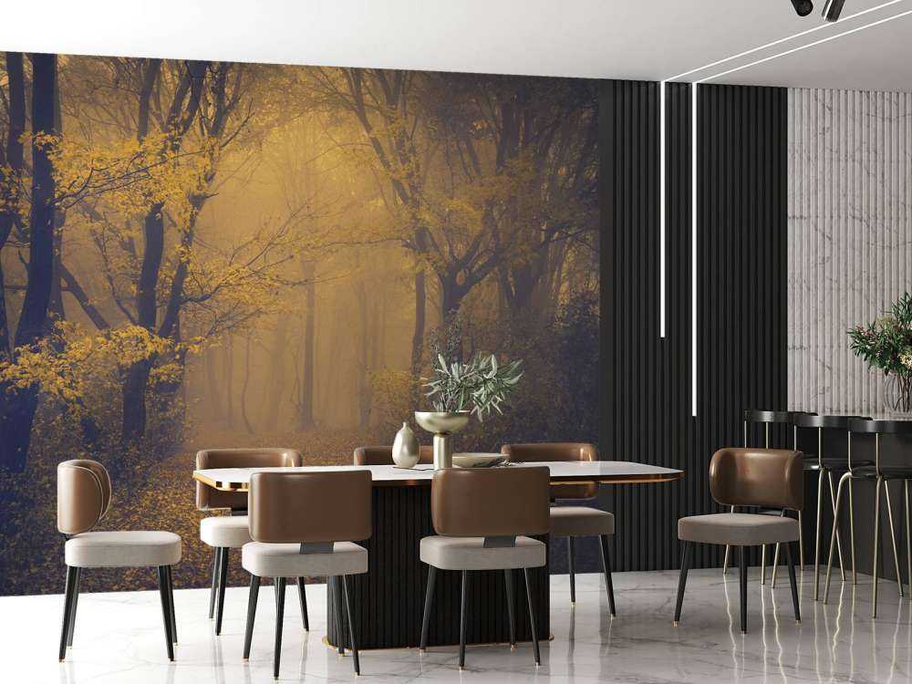 Forêt sombre