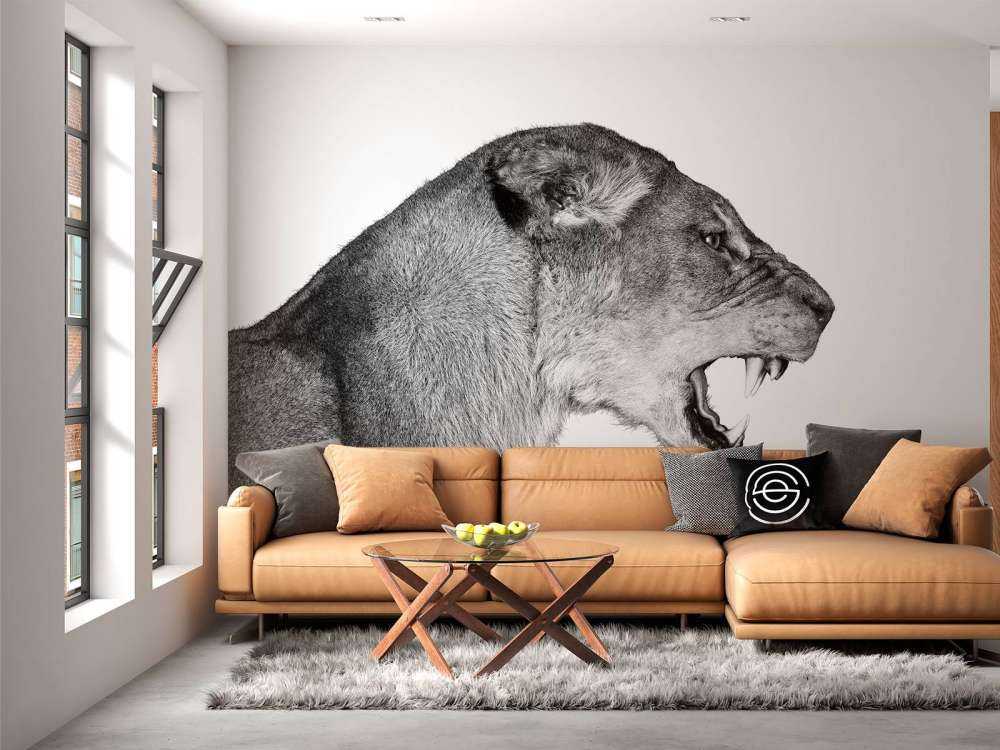 Lionne vue de côté blanc