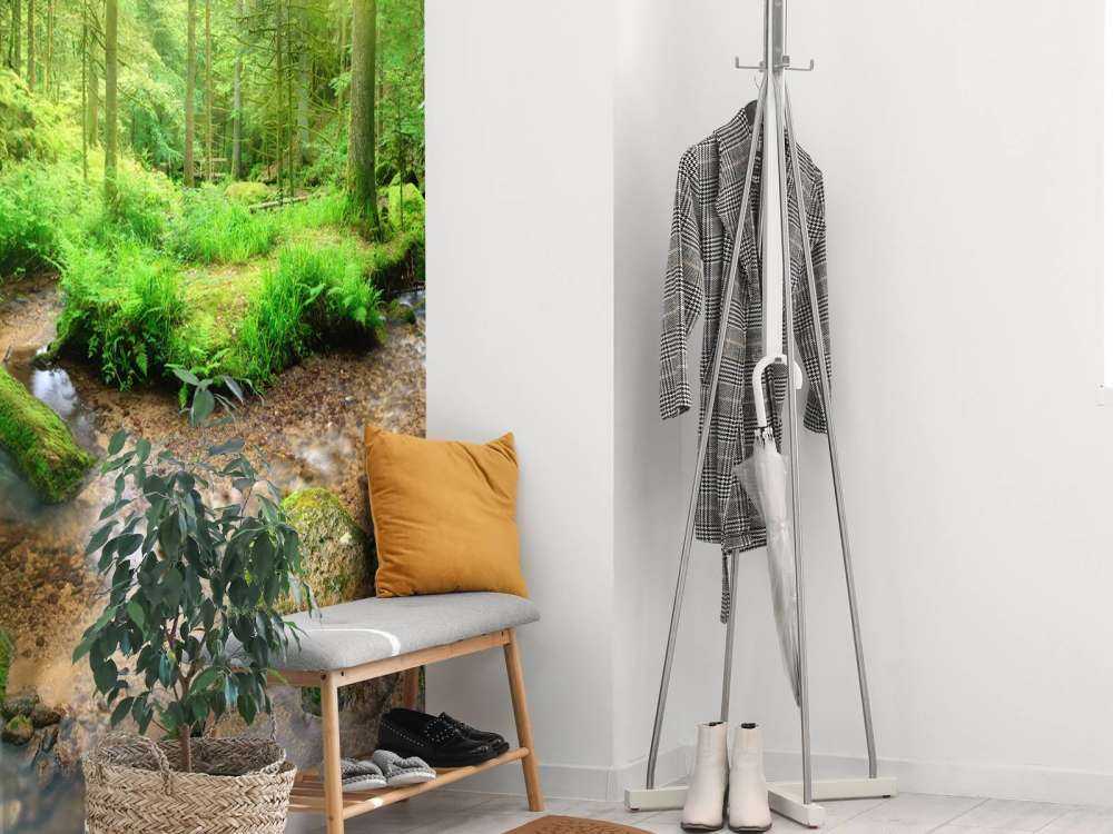 Paysage forestier enchanteur