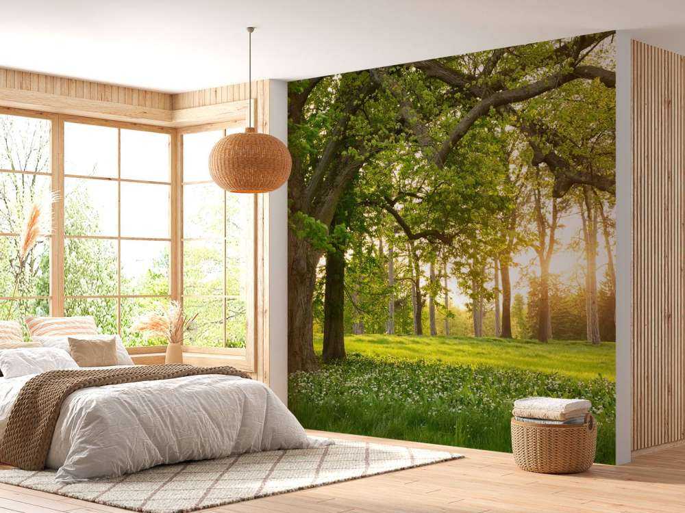 Espace ouvert dans la forêt
