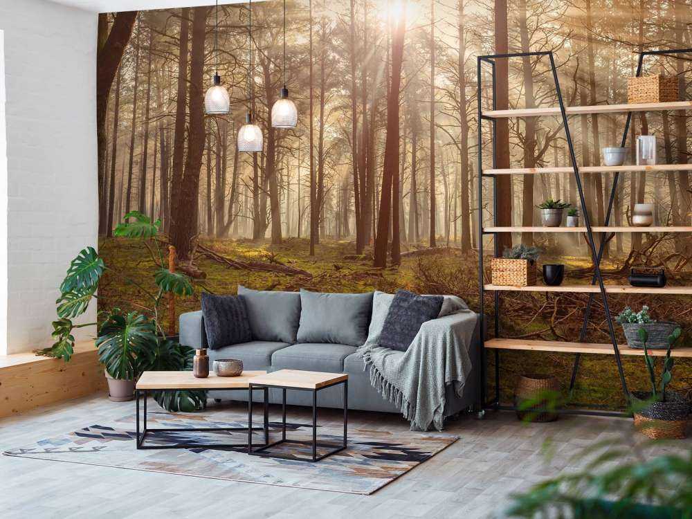 Forêt avec de grands arbres